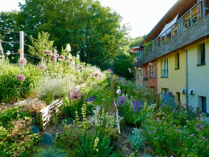 Private gardens behind houses
